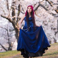 Gong Hei Fat Choy - Article 1